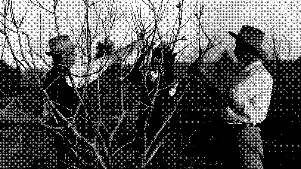 Three people trimming tree branches